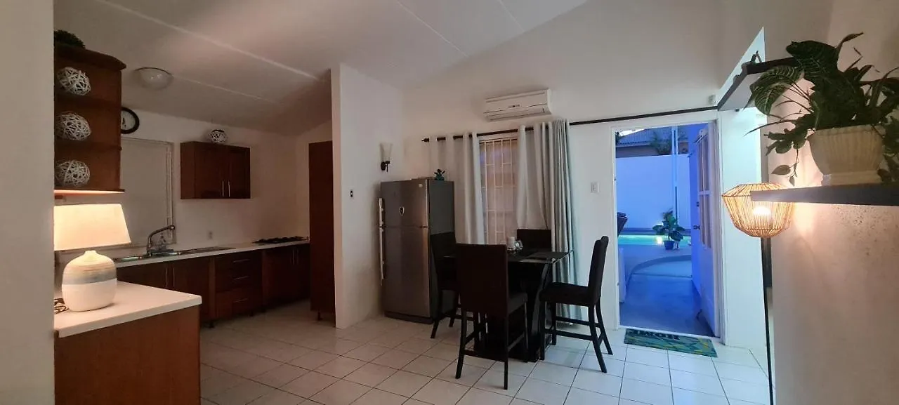 Family Villa With Big Pool And Absolute Privacy Willemstad